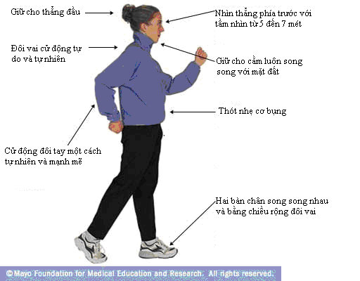 Lợi ích của việc đi bộ