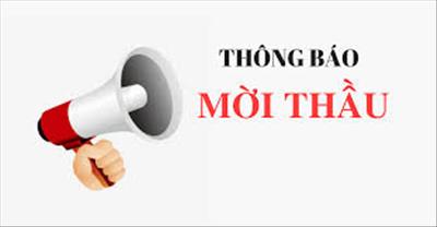 Thông báo mời thầu gói thầu 09PTV-SCL.ĐN-2025: Thuê nhân công hỗ trợ SCL Tuabin Tổ máy H1 NMTĐ Đồng Nai 4